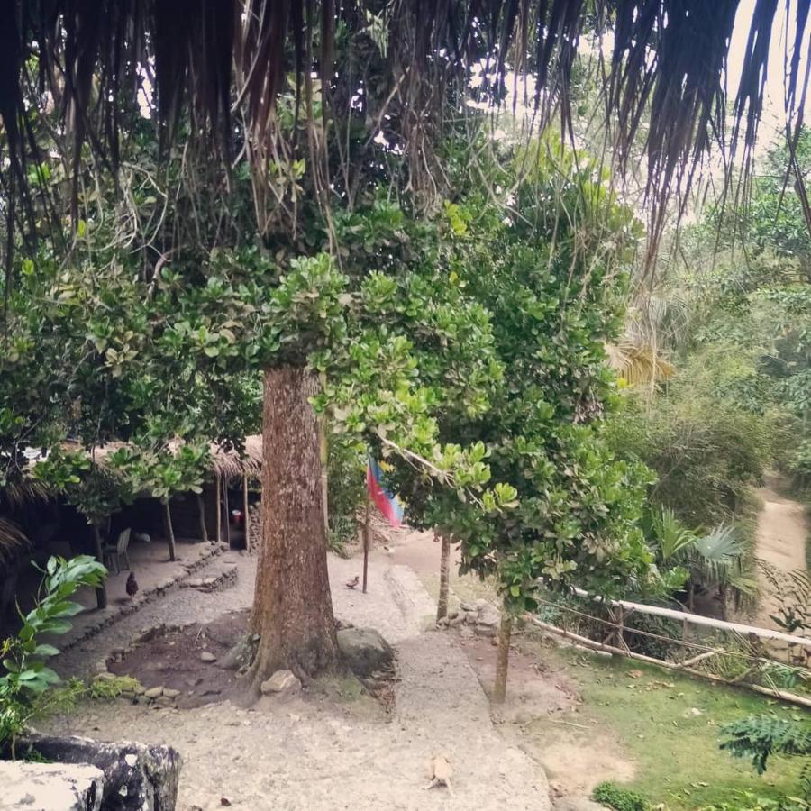 Hotel La Cima Tayrona Santa Marta  Esterno foto